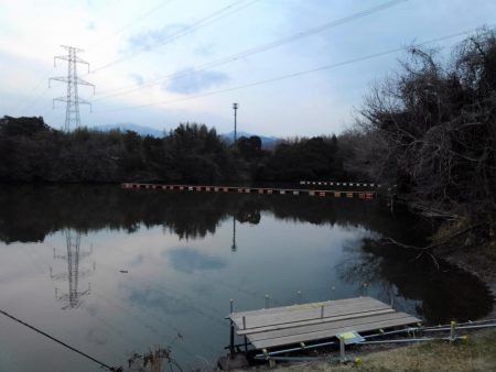 大安トラウトレイク 釣果